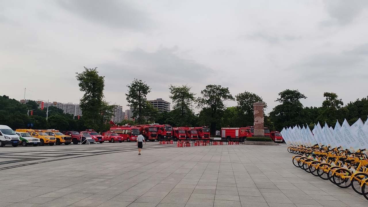 肇庆应急局森林防灭火宣传活动照片