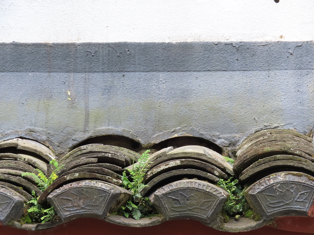 摄影作品 | 舟山 | 2024