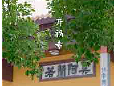 视频空境 剪辑