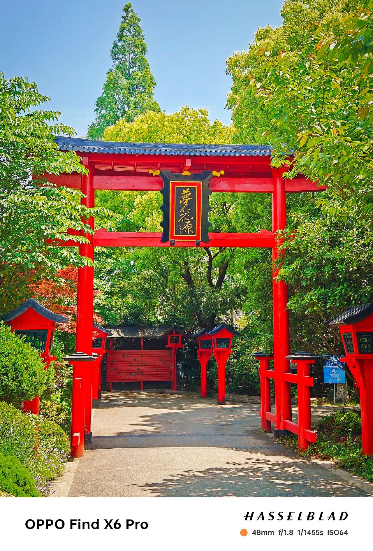 即将逝去的夏天