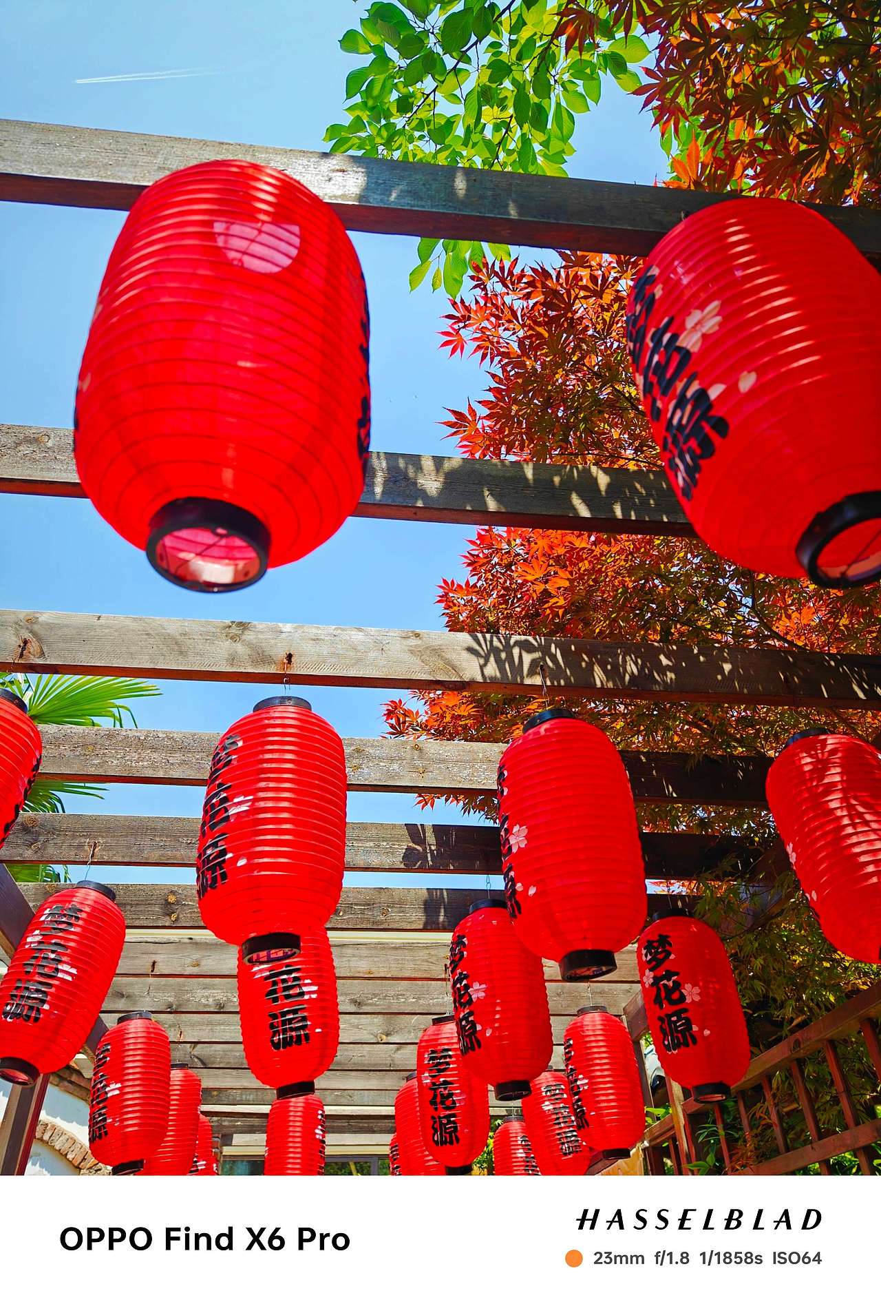 即将逝去的夏天