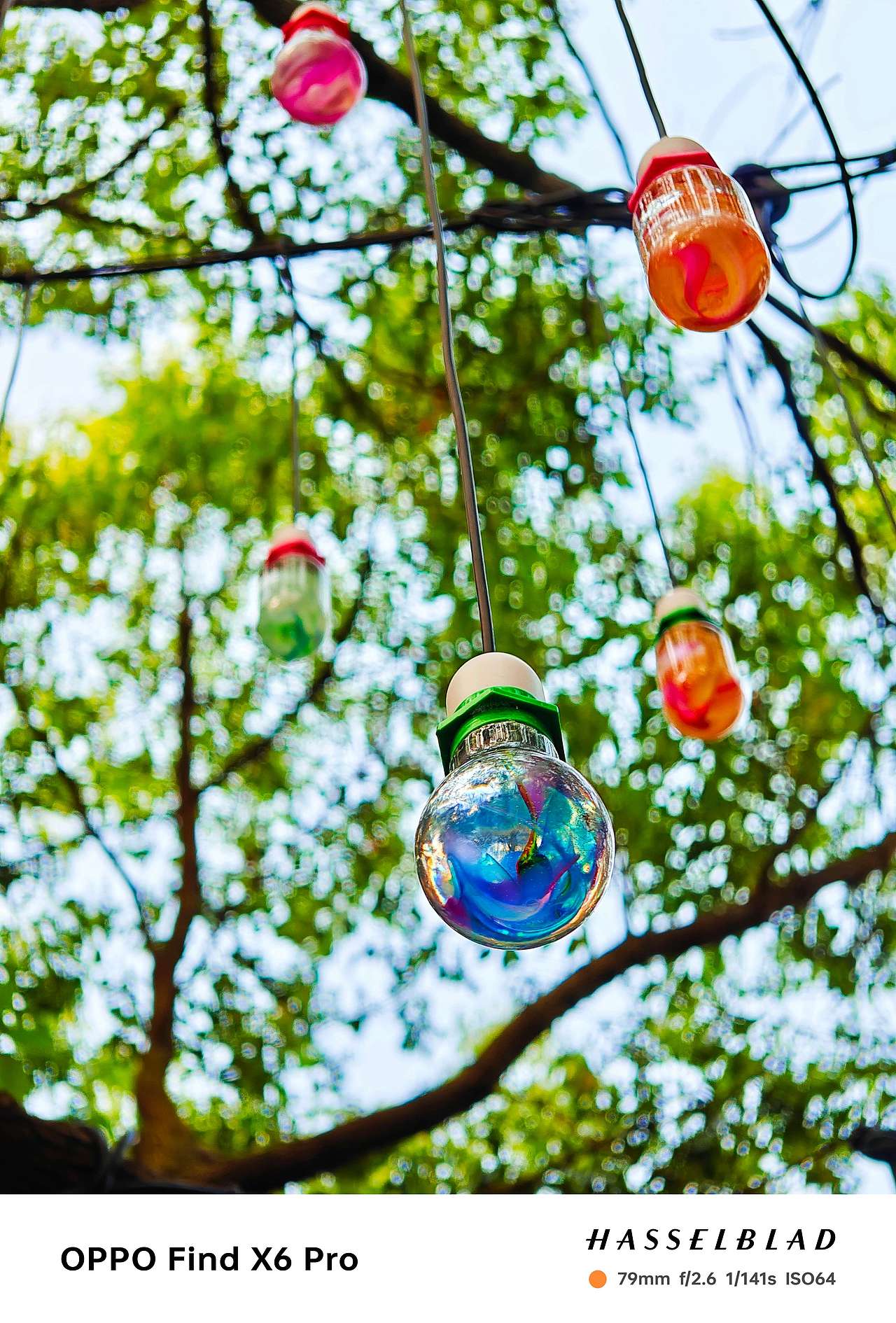 即将逝去的夏天