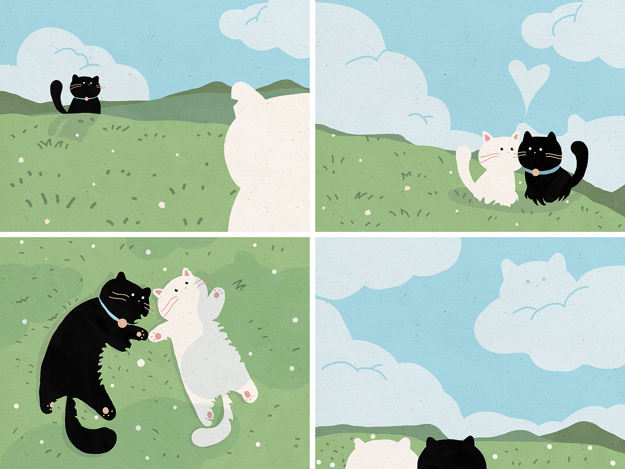 小黑和他的朋友