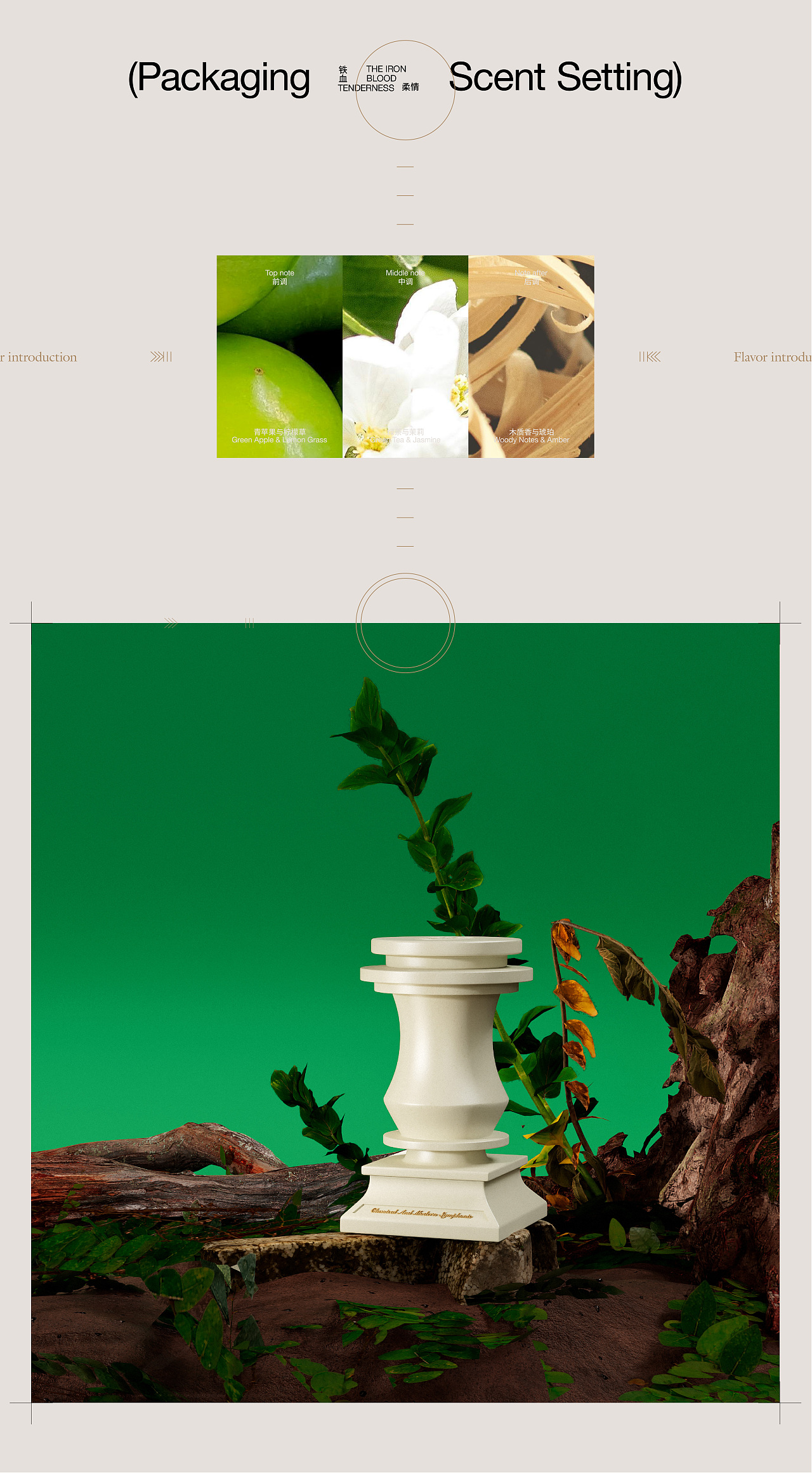 梵帝侬香薰蜡烛品牌包装全案 | 标志/VI/包装