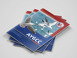 商会宣传画册 (简版) 提案演示