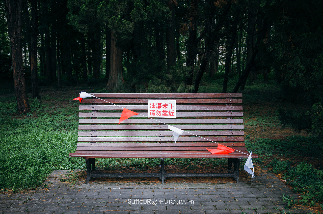 StreetSnap X 上海街头摄影