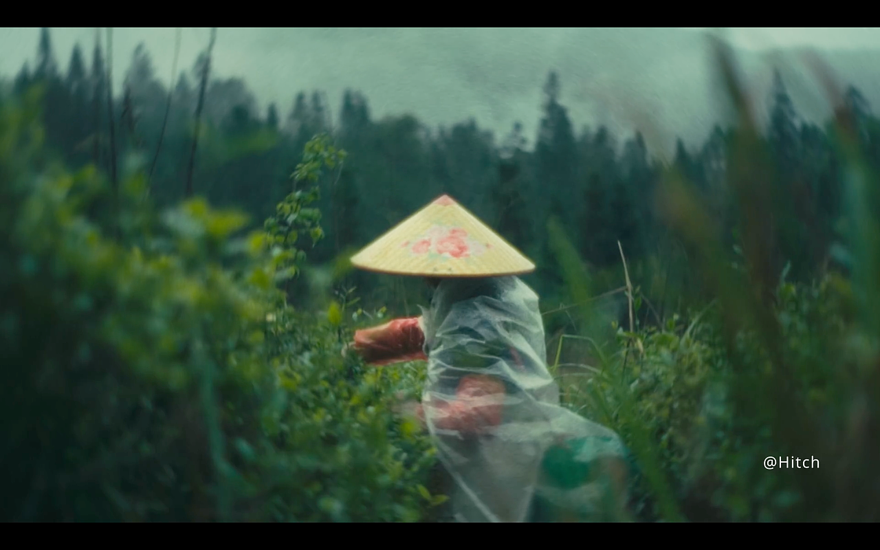 雨｜森林｜茶（图ZMzczOTIzNTg0） - 人文/纪实摄影 - 站酷设计师Hitch科克原创素材 - 站酷ZCOOL
