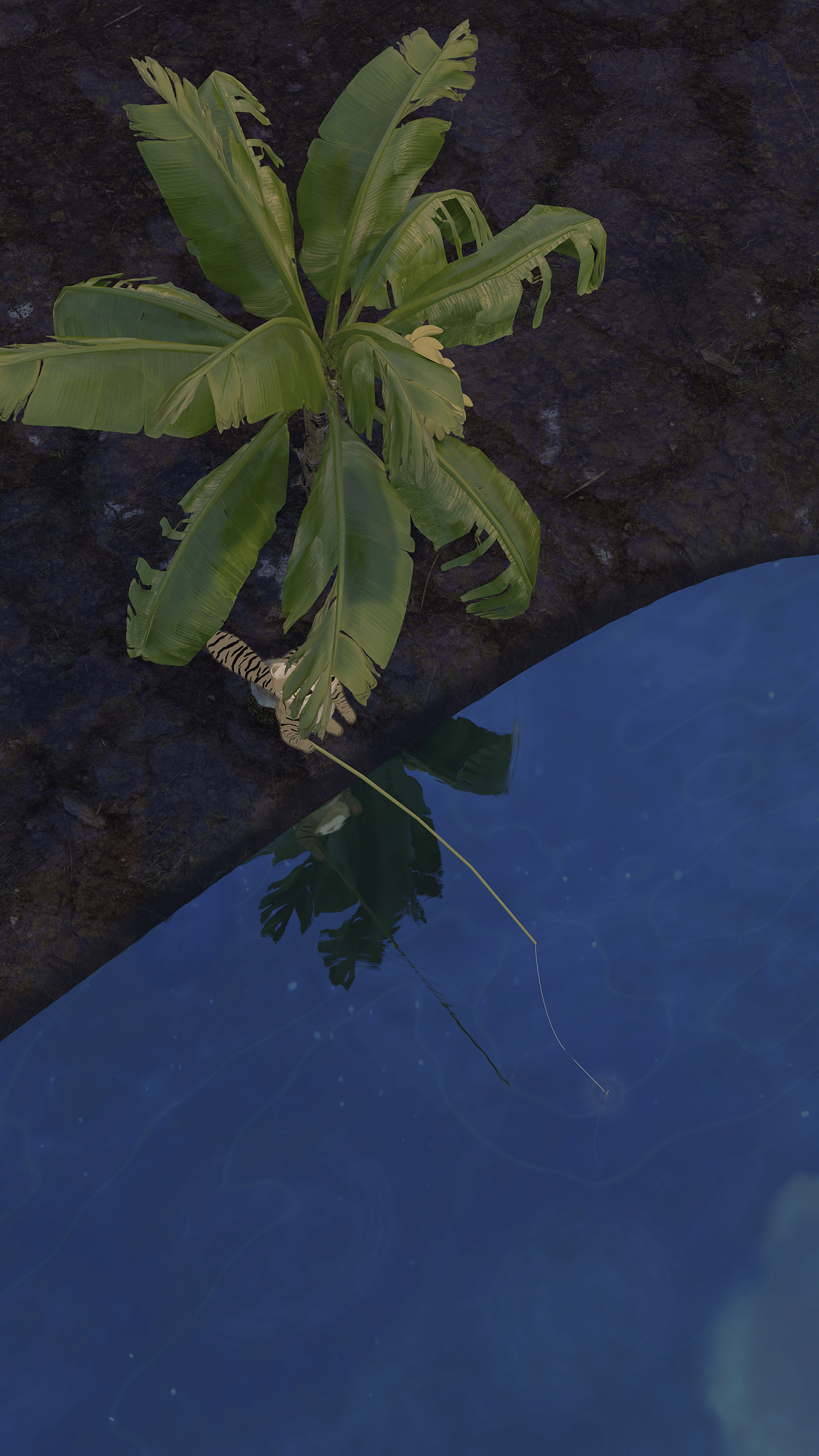 【全流程】萌猫原创角色动画 治愈 三维 blender（图ZMzczOTI4MjU2） - 动画片 - 站酷设计师哇动画原创素材 - 站酷ZCOOL