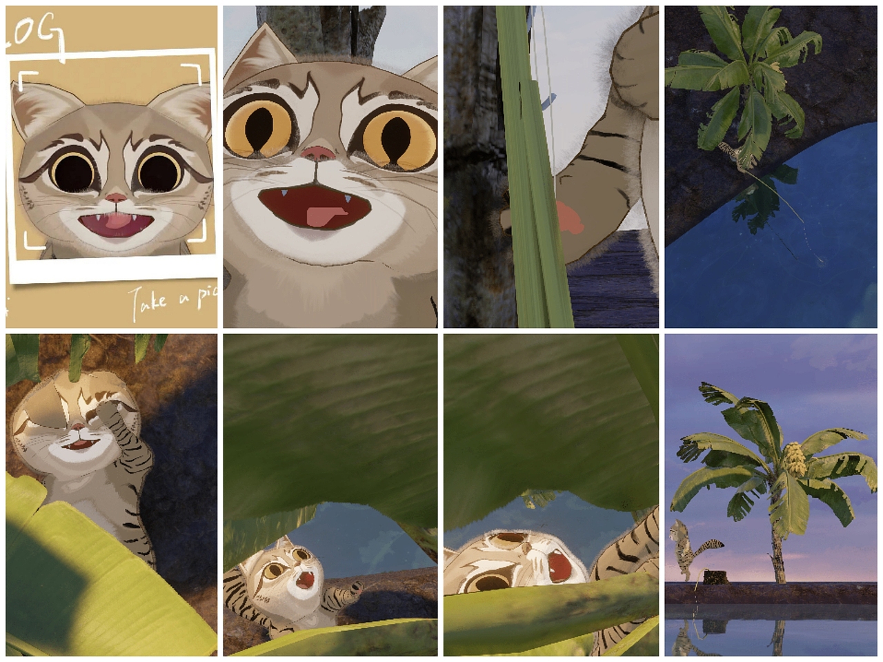 【全流程】萌猫原创角色动画 治愈 三维 blender（图ZMzczOTI4Mjc2） - 动画片 - 站酷设计师哇动画原创素材 - 站酷ZCOOL