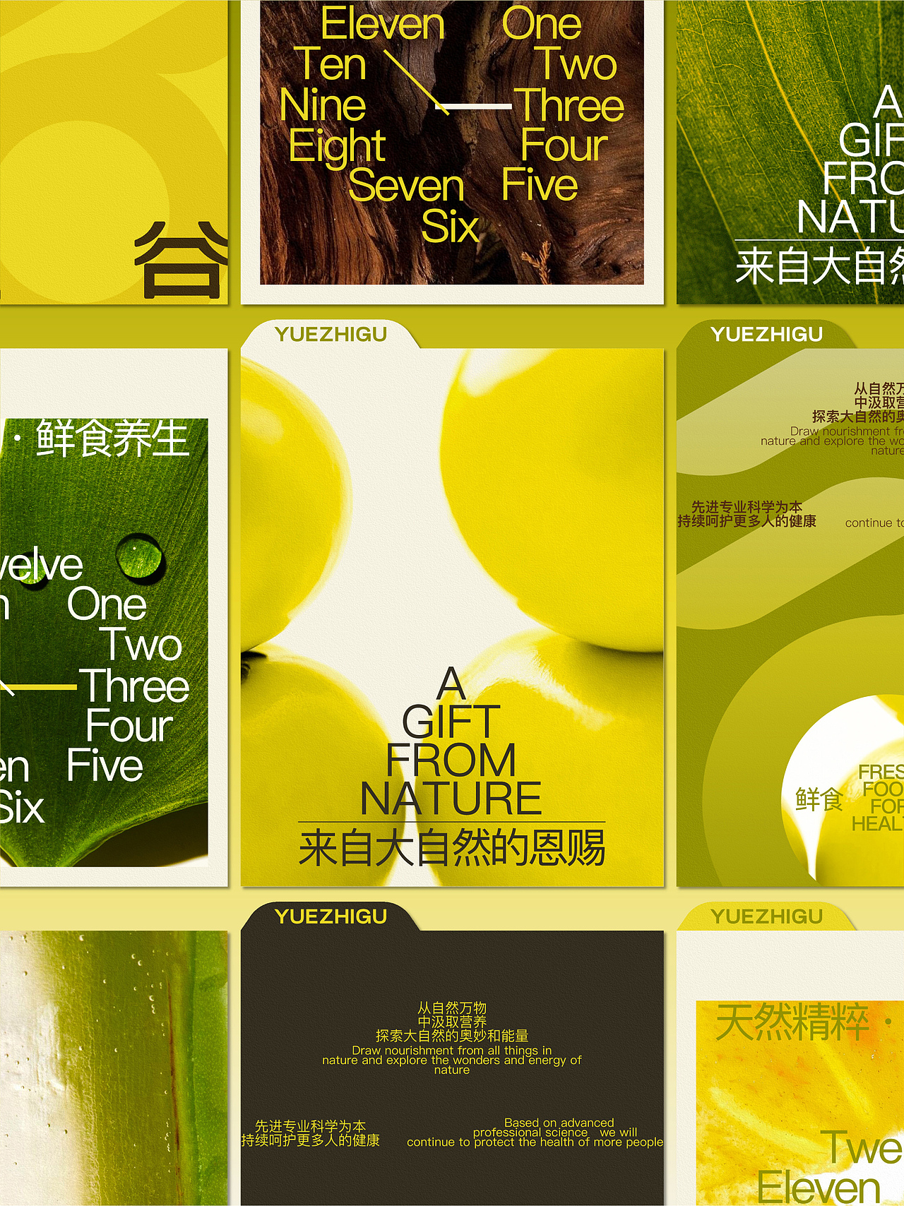 悦之谷 大健康药食同源产品 轻食品VI设计 包装设计