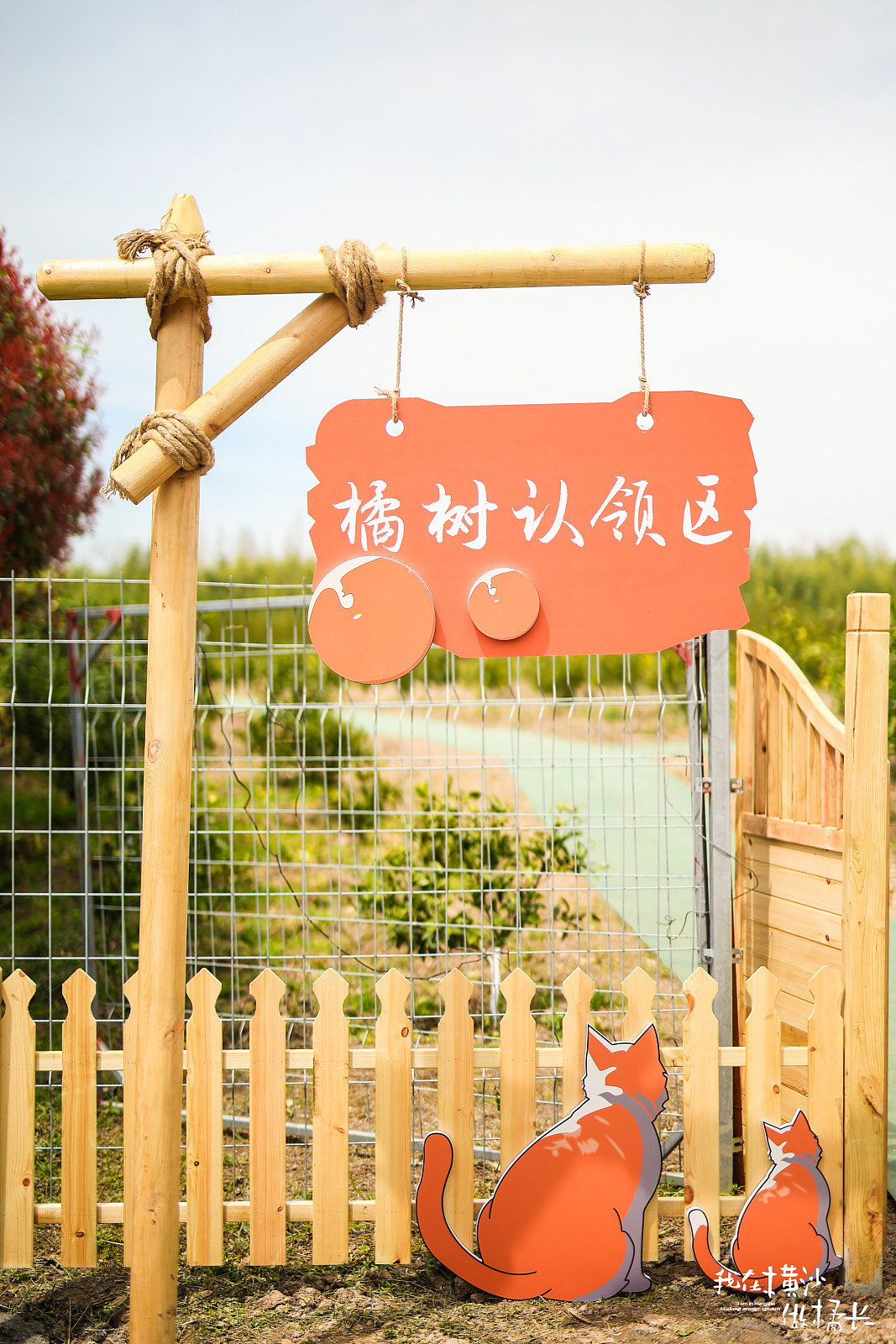 崇明花朝节系列活动（图ZMzczOTUwMTc2） - 展陈设计 - 站酷设计师筑光创文化传媒原创素材 - 站酷ZCOOL