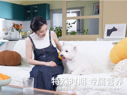 布兰德幼犬奶糕粮