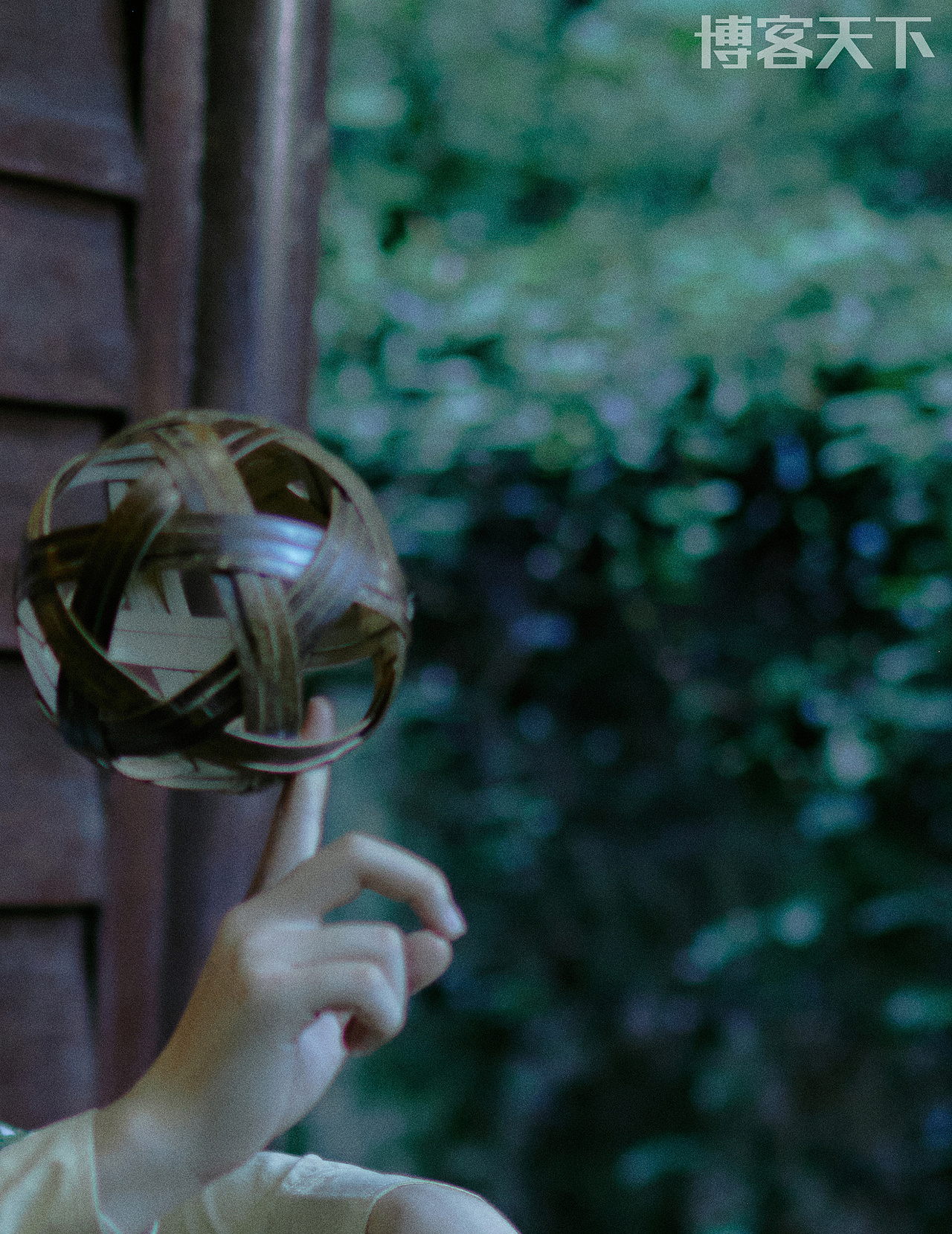 博客天下 ✖️ 陈少熙