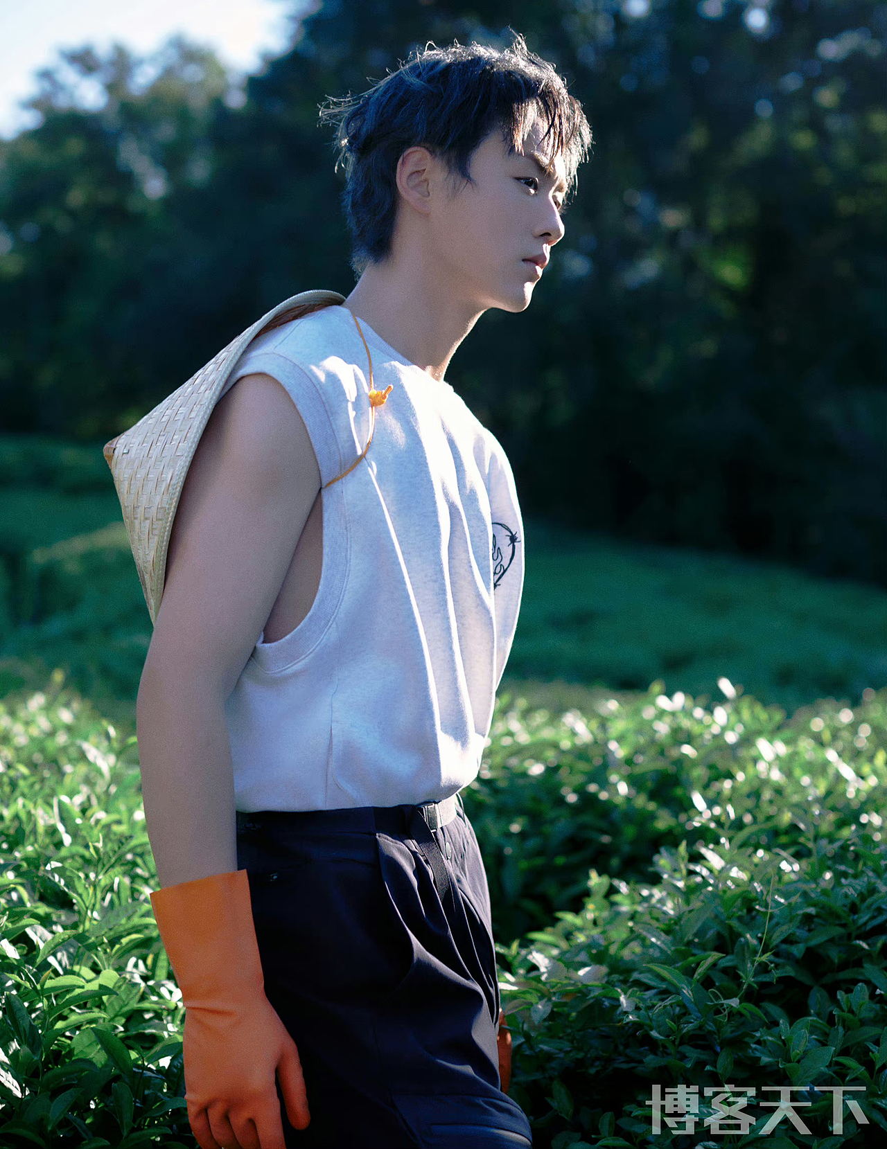 博客天下 ✖️ 陈少熙