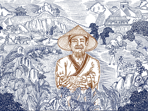 原创插画/版画包装插画  仟谷杂粮