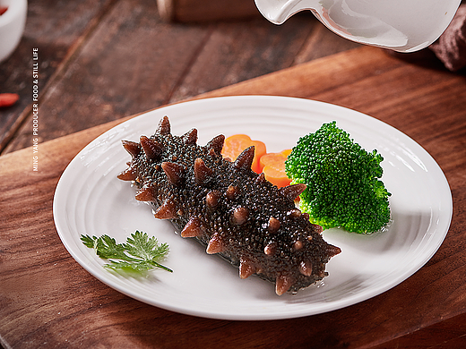 鲜食海参拍摄