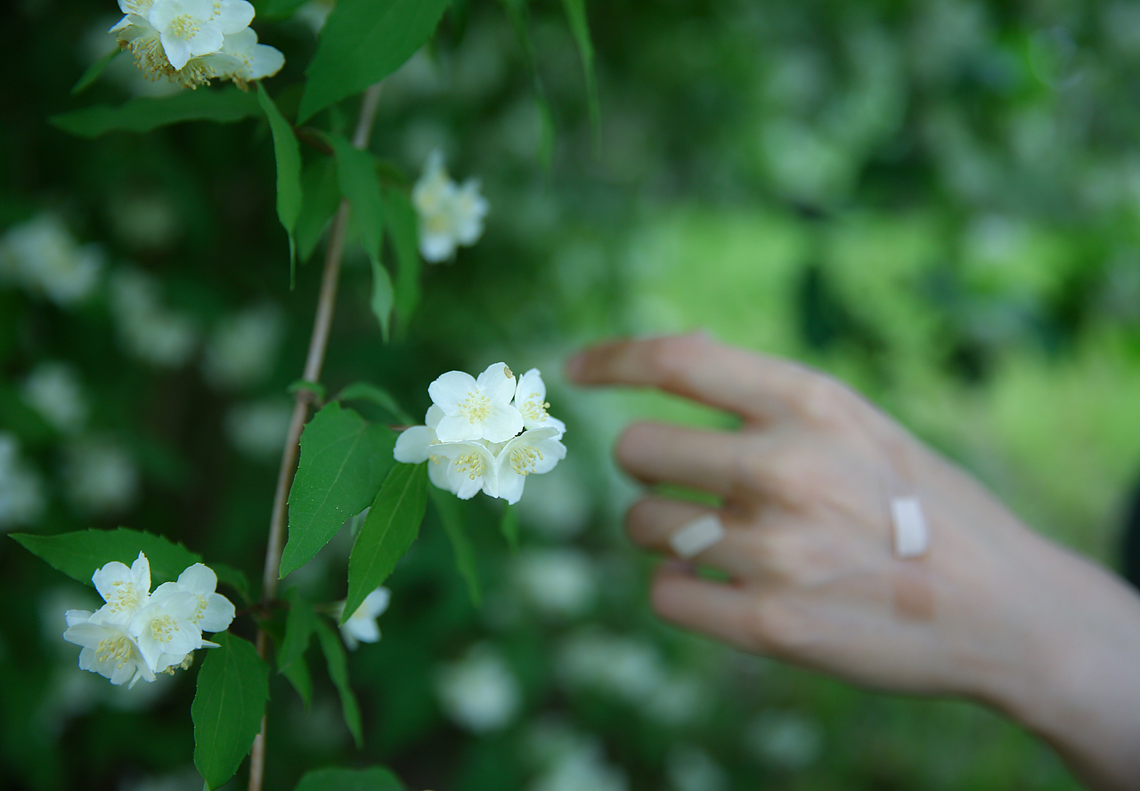 像极了爱情（图ZMzc0MDAyMzY4） - 时尚/艺术摄影 - 站酷设计师歪猴儿Terry原创素材 - 站酷ZCOOL