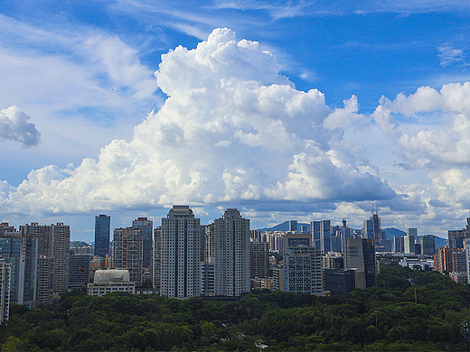 深圳七月|办公室的风景