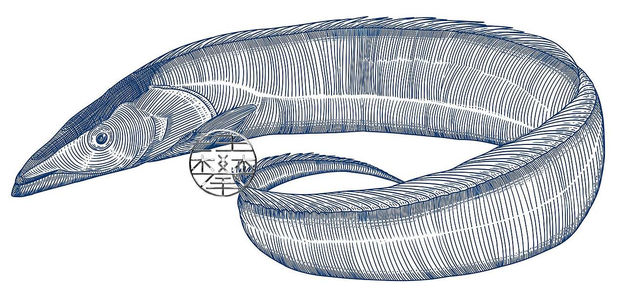 龙虾/带鱼/鸡版画,农产品包装插画设计