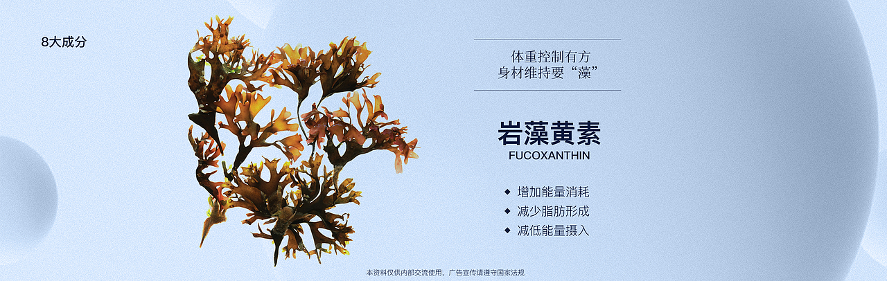 产品发布会Keynote