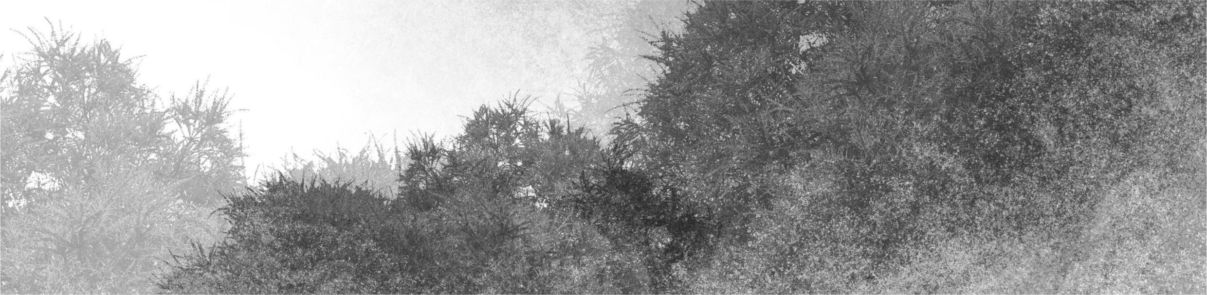 飯小滿ffei的個人主頁（封面預覽） - 主頁封面設置 - 站酷設計師飯小滿ffei原創(chuàng)素材 - 站酷ZCOOL