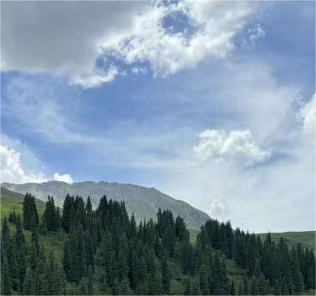 飯小滿ffei的個人主頁（背景預覽） - 主頁背景設置 - 站酷設計師飯小滿ffei原創(chuàng)素材 - 站酷ZCOOL