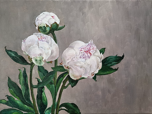 浅临 Katie G. Whipple 的作品