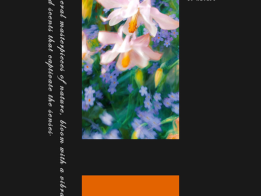 简约大气极简主义文艺海报