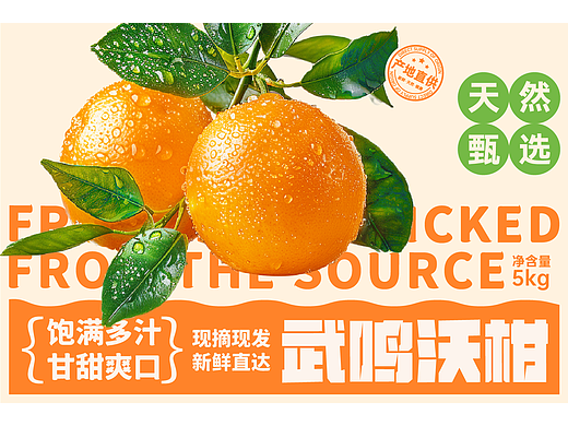 农产品水果包装——（可授权）