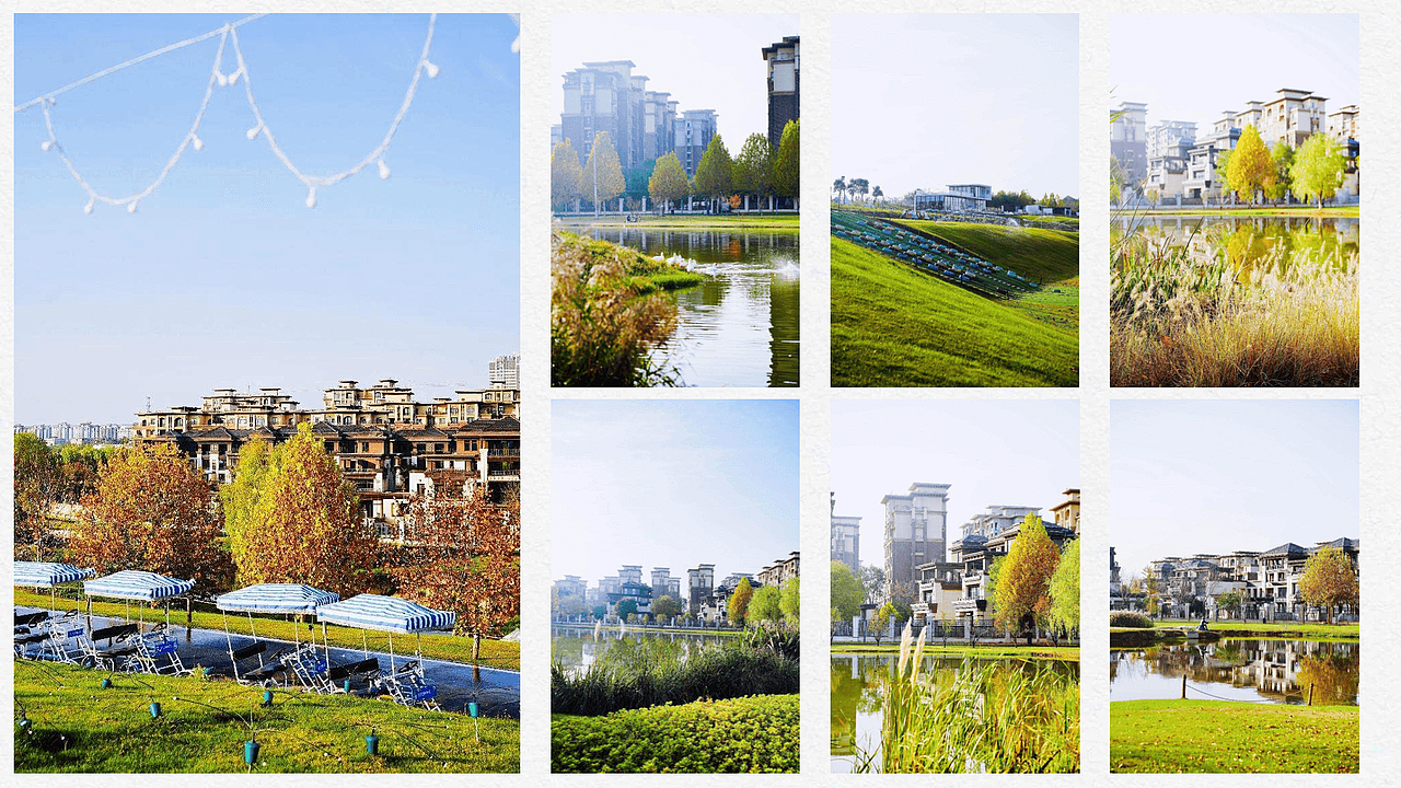 05-平面设计-作品集