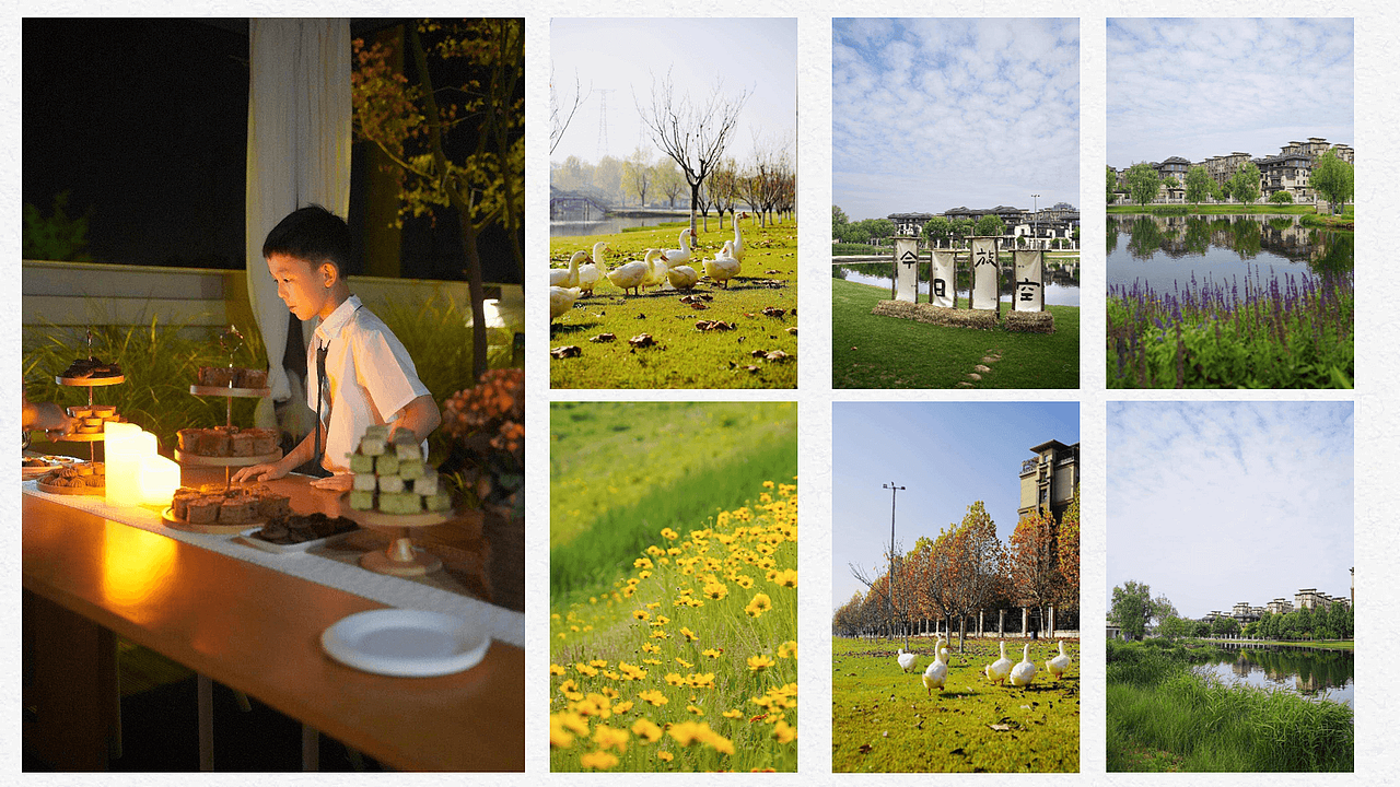 05-平面设计-作品集