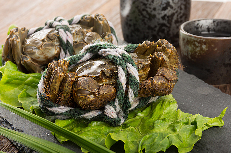 大闸蟹（图ZMzc0MTExMzUy） - 产品摄影 - 站酷设计师铁棍山药芝麻片原创素材 - 站酷ZCOOL