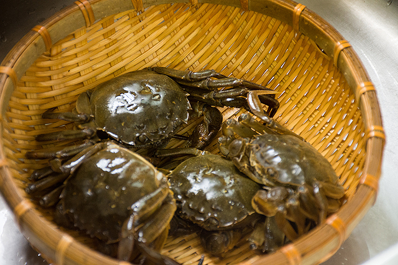 大闸蟹（图ZMzc0MTExMzky） - 产品摄影 - 站酷设计师铁棍山药芝麻片原创素材 - 站酷ZCOOL