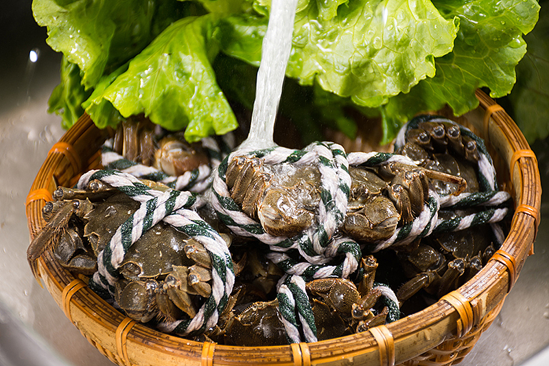 大闸蟹（图ZMzc0MTExNDA4） - 产品摄影 - 站酷设计师铁棍山药芝麻片原创素材 - 站酷ZCOOL