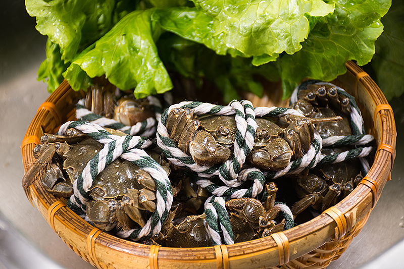 大闸蟹（图ZMzc0MTExNDA0） - 产品摄影 - 站酷设计师铁棍山药芝麻片原创素材 - 站酷ZCOOL