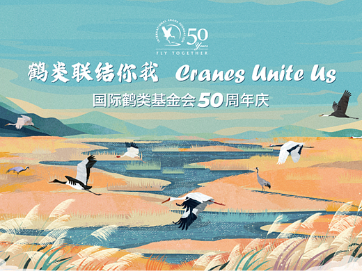 鹤类基金会50周年庆插画物料设计