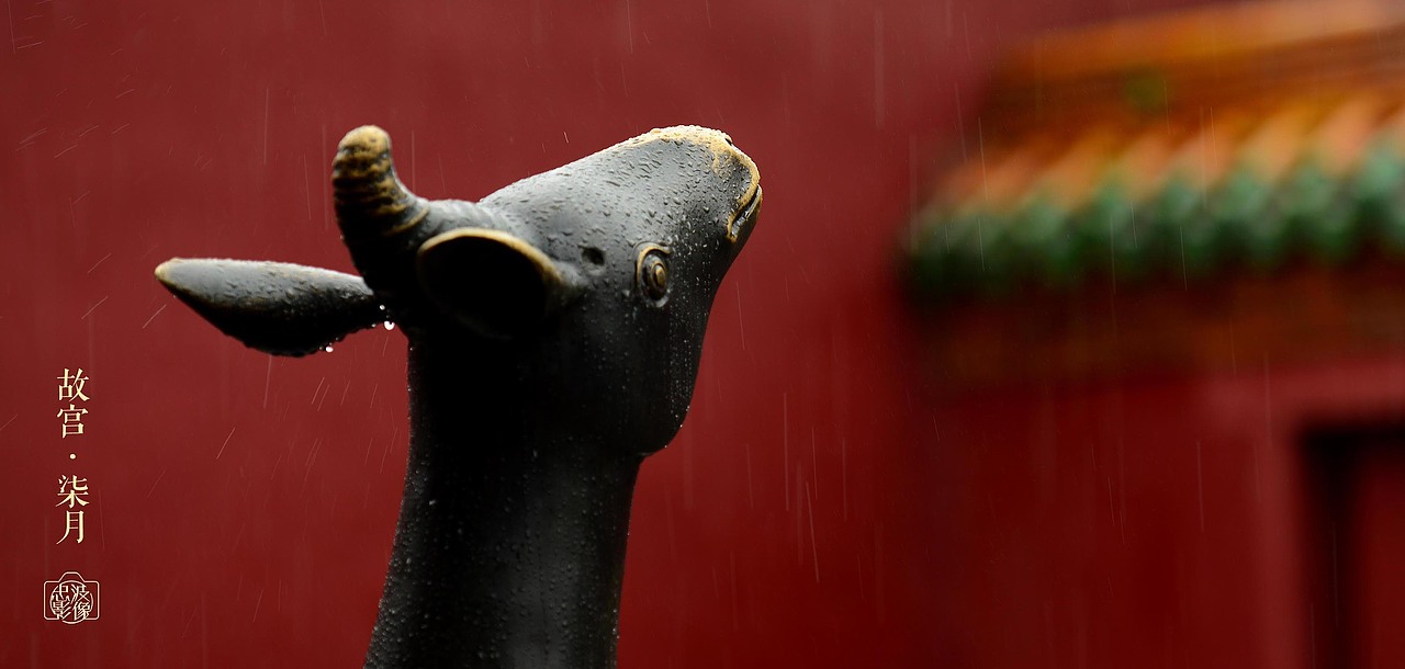 沈阳故宫雨（图ZMzc0MTI1NDQw） - 风光摄影 - 站酷设计师盛京文化原创素材 - 站酷ZCOOL