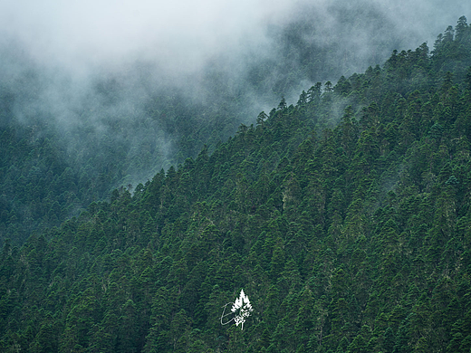 川西路上的美景