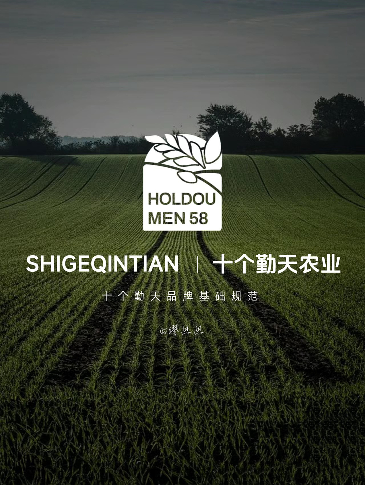 农业公司品牌基础规范