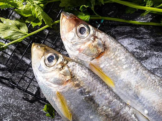 力鱼（个人主页-ZNjYxNjYxNDg=） - 产品摄影 - 站酷设计师accganjue原创素材 - 站酷ZCOOL