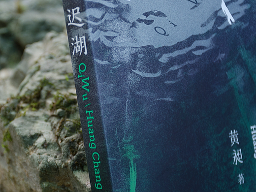 00后新人作家-艺文志出品-《迟湖》封面设计