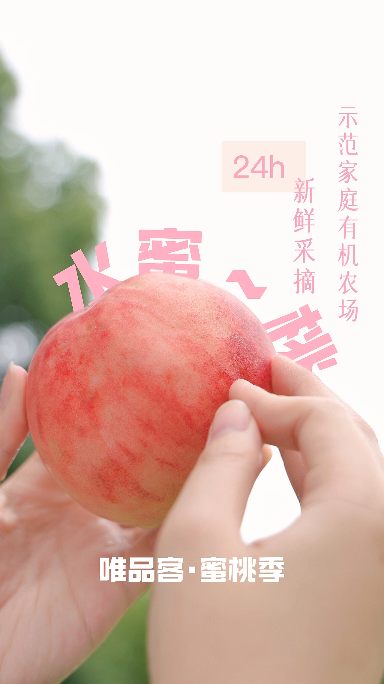 蜜桃季合集（视频号）（图ZMzc0MjA3MDg0） - 人像摄影 - 站酷设计师汝安Ryan原创素材 - 站酷ZCOOL