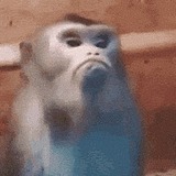 无名吗喽的头像