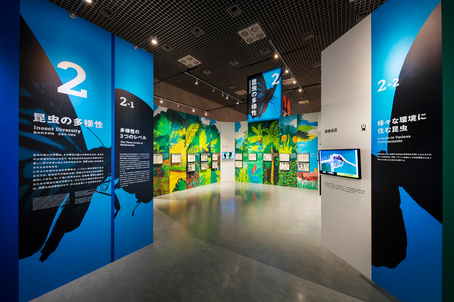 展馆设计-非常有意思的自然昆虫展示馆（图ZMTQ4NTczOTY=） - 资讯 - 站酷设计师ZGSJS原创素材 - 站酷ZCOOL