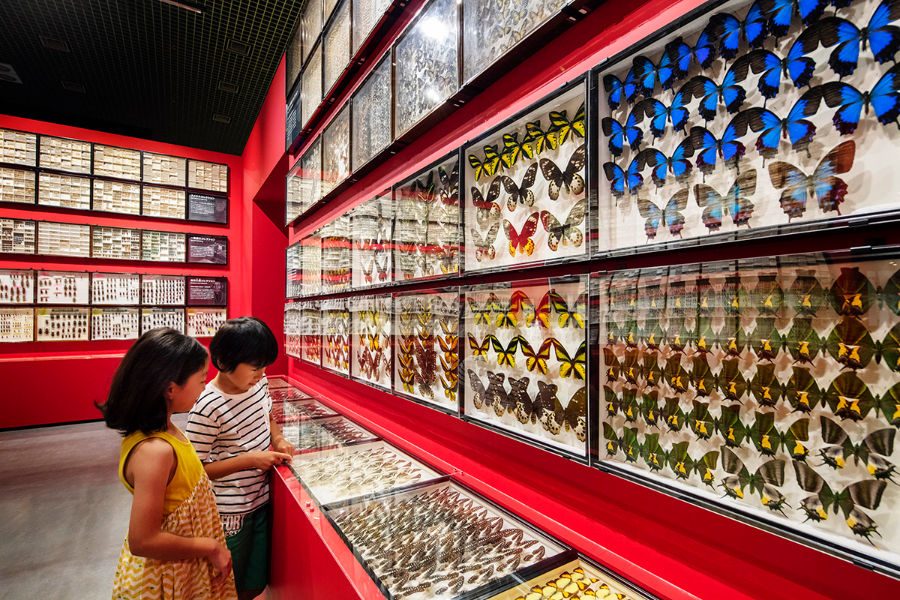 展馆设计-非常有意思的自然昆虫展示馆（图ZMTQ4NTc0MTY=） - 资讯 - 站酷设计师ZGSJS原创素材 - 站酷ZCOOL