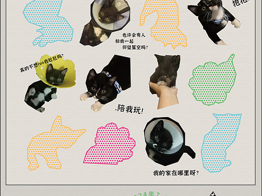公益-流浪动物领养海报