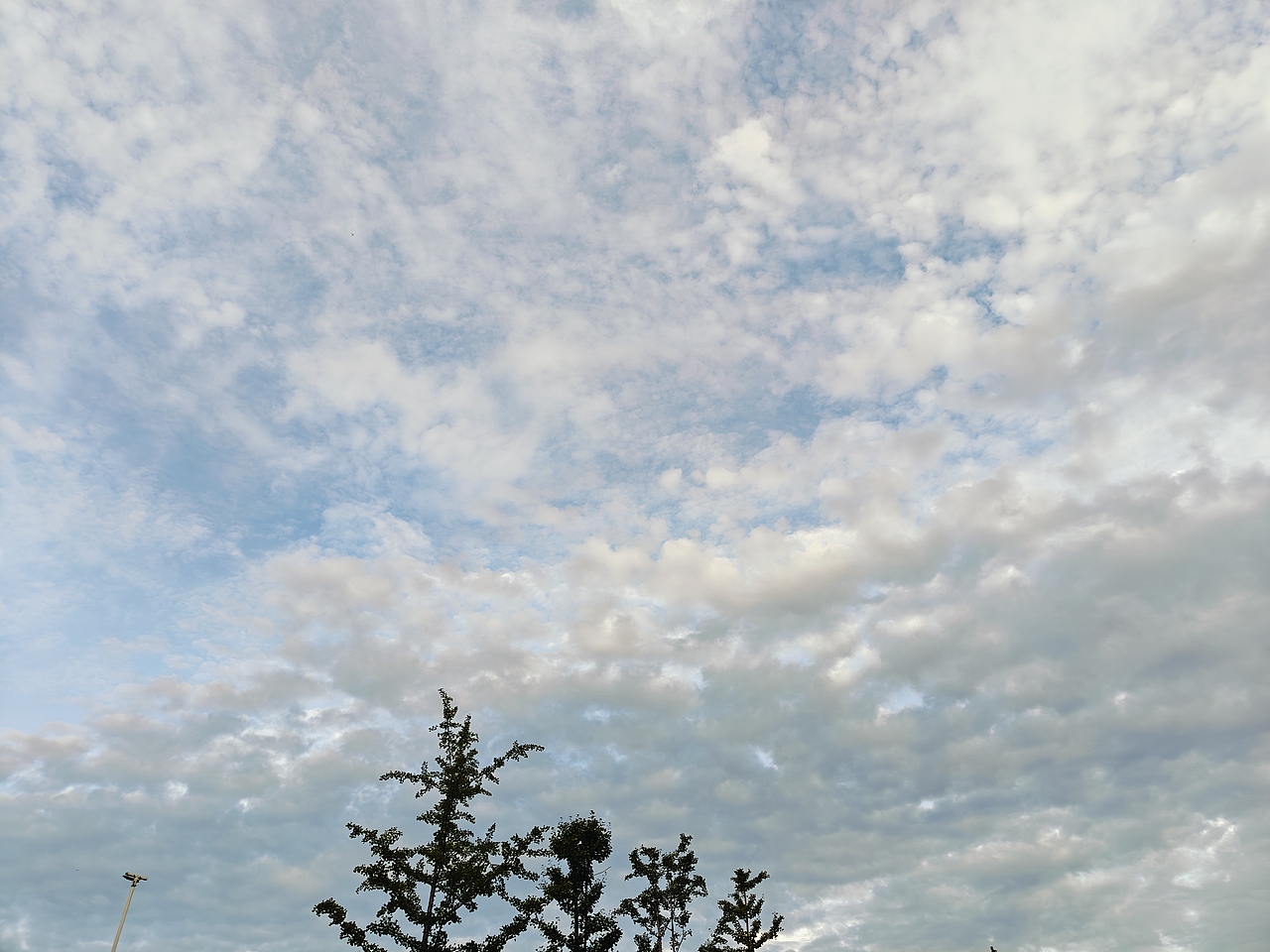 喜欢拍天空的人一定很温柔吧（图ZMzc0MjUxNTMy） - 风光摄影 - 站酷设计师angelslove原创素材 - 站酷ZCOOL