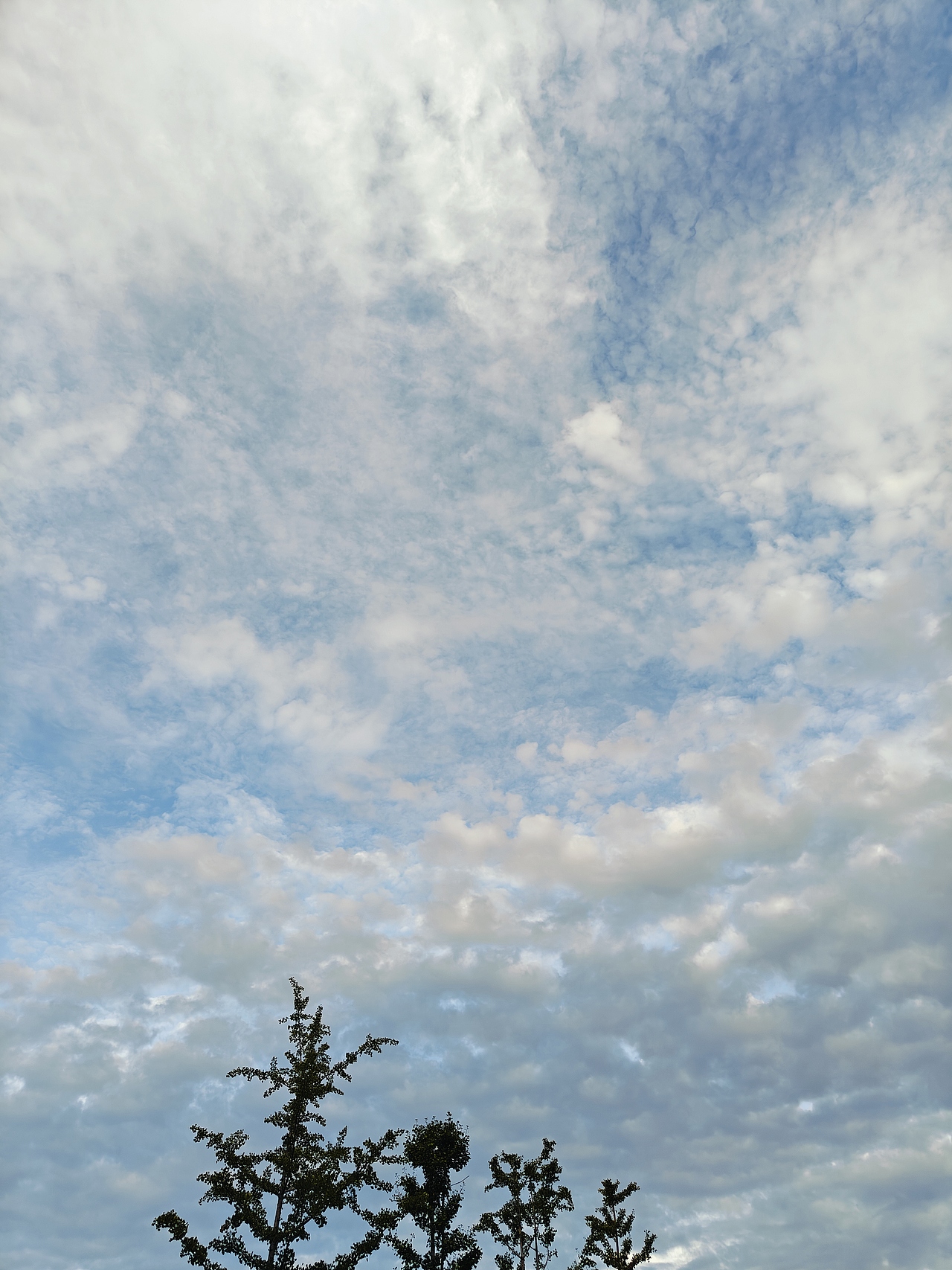 喜欢拍天空的人一定很温柔吧（图ZMzc0MjUxNTg4） - 风光摄影 - 站酷设计师angelslove原创素材 - 站酷ZCOOL