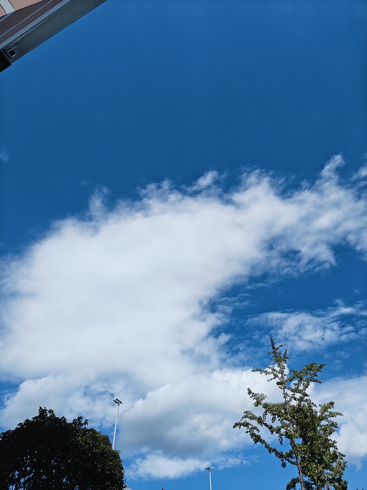 喜欢拍天空的人一定很温柔吧（图ZMzc0MjUxNTg0） - 风光摄影 - 站酷设计师angelslove原创素材 - 站酷ZCOOL