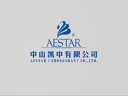 中山凯中有限公司